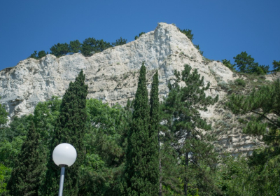 DSC 0020