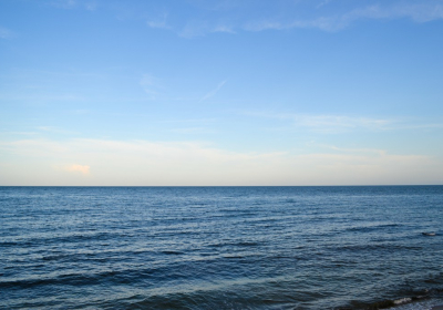 DSC 0466