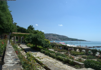 DSC 1553